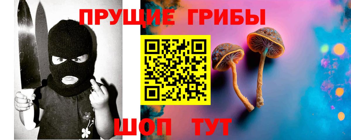 Псилоцибиновые грибы мухоморы  Вход с VPN  Кандалакша 